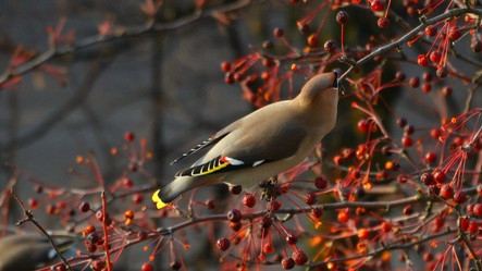 Similar image 11137220