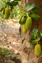 Similar image 11284459