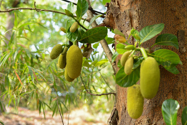 Similar image 11284460