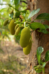 Similar image 11284461