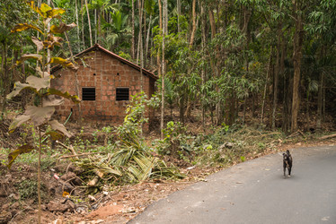 Similar image 11286645