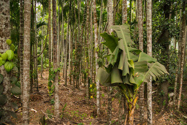 Similar image 11286646