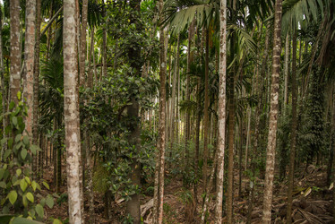 Similar image 11286648