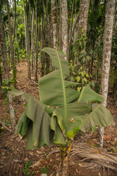 Similar image 11286664