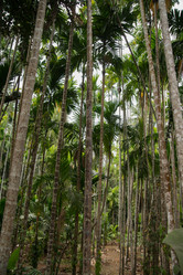 Similar image 11286665