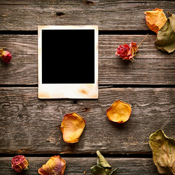 Similar image 11171904