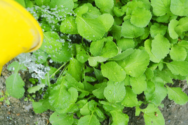 Similar image 11136530