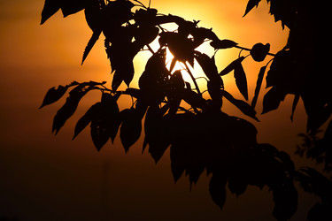 Similar image 11137033