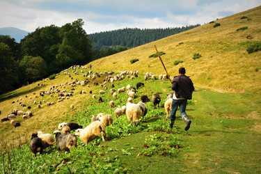 Similar image 11137047