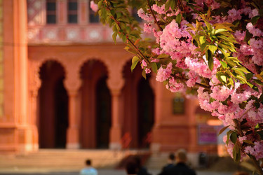 Similar image 11137049