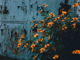 Similar image 11136430