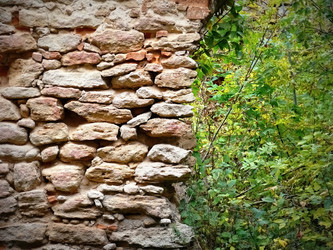 Similar image 11137078