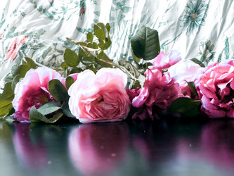 Similar image 11136432