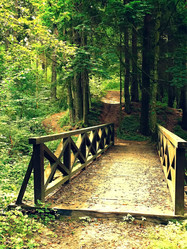 Similar image 11137083