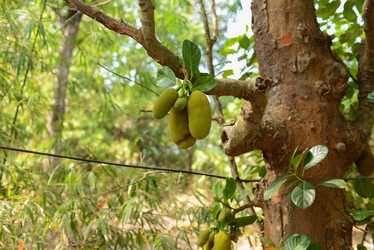 Similar image 11286695