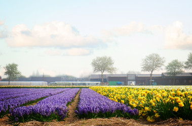 Similar image 11143692