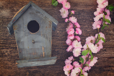 Similar image 11143573