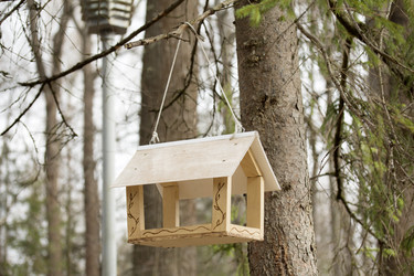 Similar image 11140964