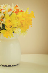 Similar image 11143670