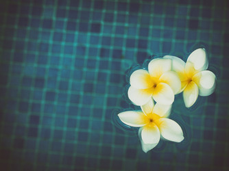 Similar image 11143832