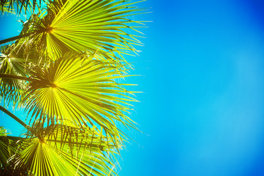 Similar image 11144352