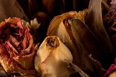 Similar image 11278317