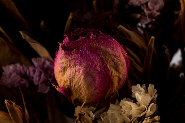 Similar image 11278323