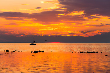 Similar image 11278520