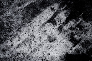 Similar image 11278079