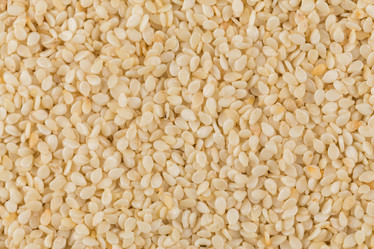 Similar image 11278095