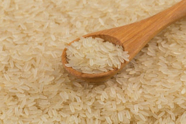 Similar image 11278219