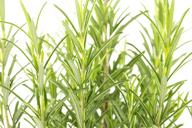 Similar image 11278184