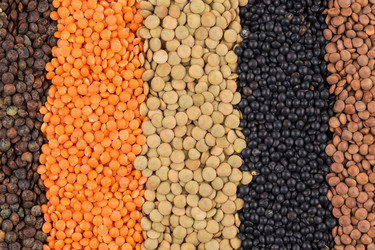 Similar image 11278185