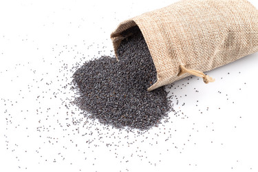 Similar image 11278240