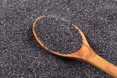 Similar image 11278241