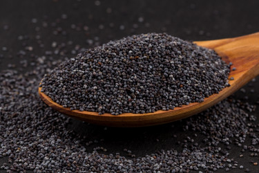 Similar image 11278242