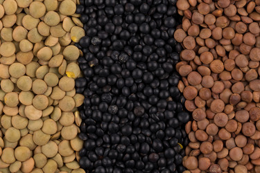 Similar image 11278341