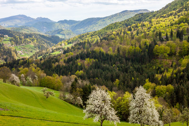 Similar image 11143306