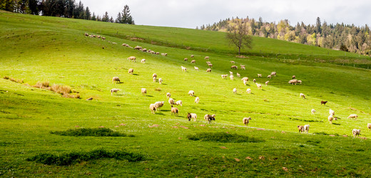 Similar image 11143307