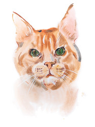 Similar image 11321222