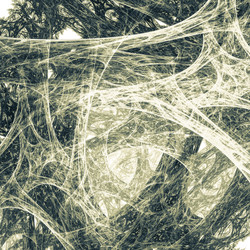 Similar image 11145323