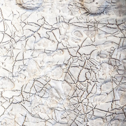 Similar image 11145368