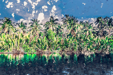 Similar image 11145369