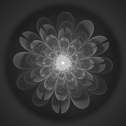 Similar image 11145388