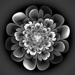 Similar image 11145389