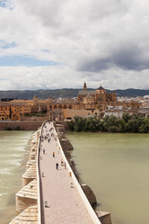 Similar image 11137761