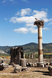 Similar image 11136838