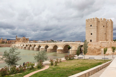 Similar image 11137899