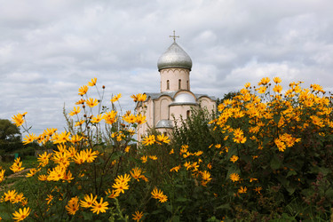 Similar image 11137870