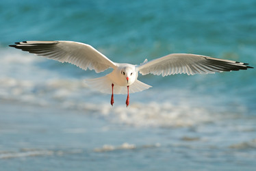 Similar image 11141402